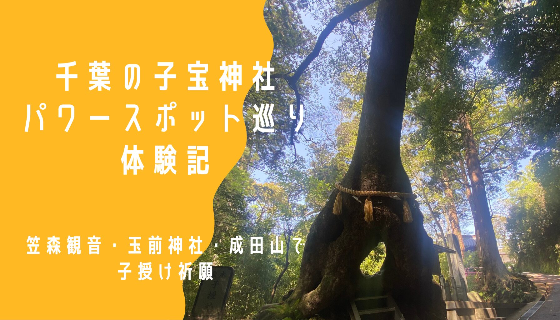千葉の子宝神社・パワースポット巡り体験記｜笠森観音・玉前神社・成田山で子授け祈願 笠森観音の楠
