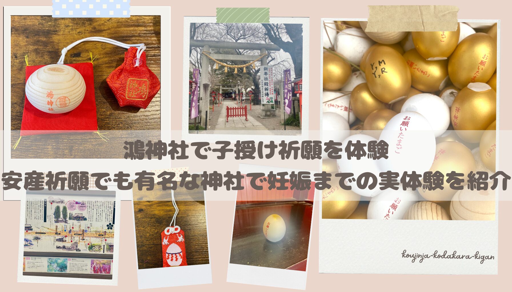 鴻神社,子授け祈願、妊娠体験
