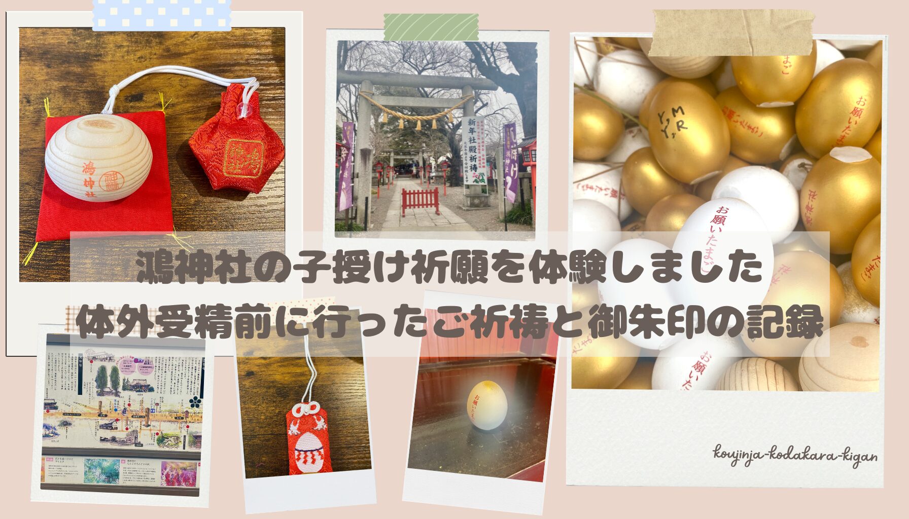 鴻神社,子授け祈願、妊活、子宝神社