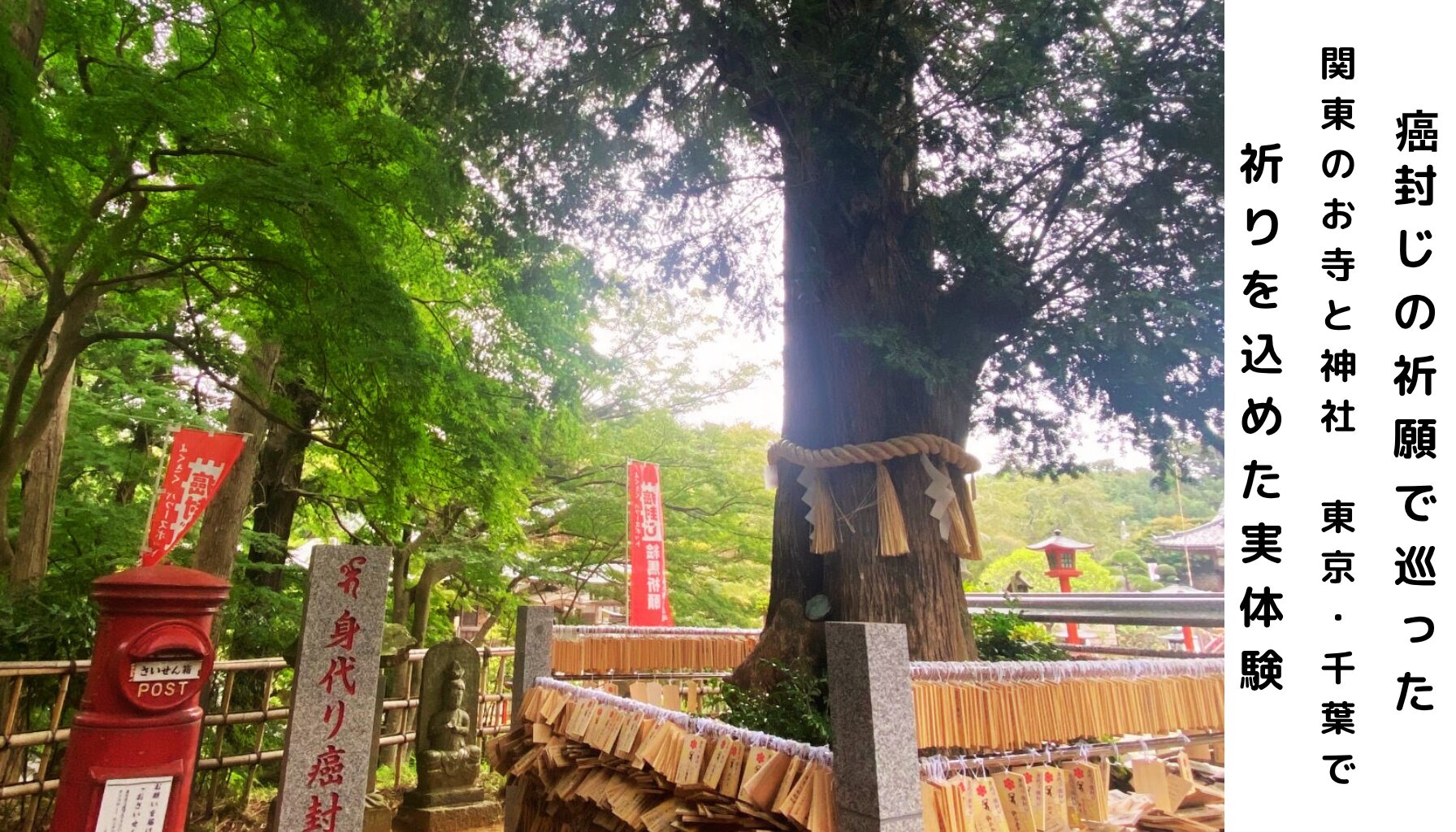 癌封じ、祈願、関東、神社、寺、東光院（平山お願い薬師）の身代わり癌封じのご霊木