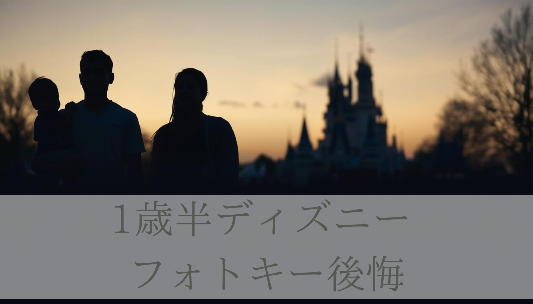 1歳半ディズニー フォトキー後悔