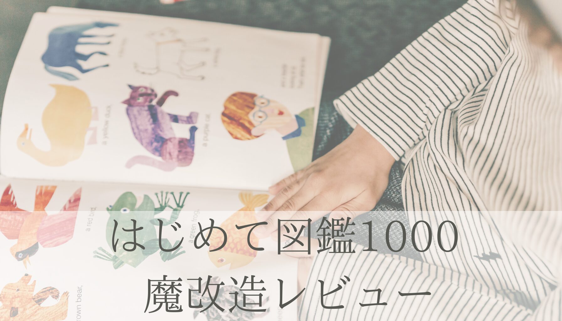 はじめて図鑑1000 魔改造レビュー